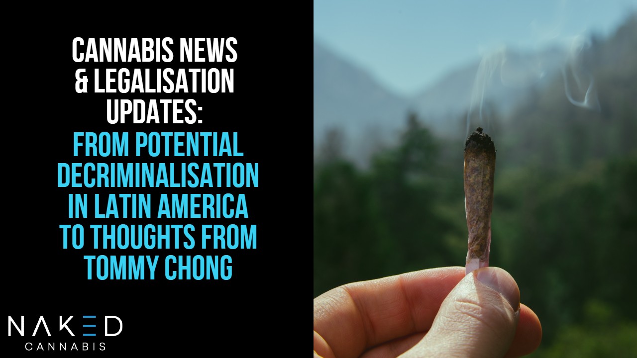 Cannabis News: Latin America & Thoughts from Tommy Chong