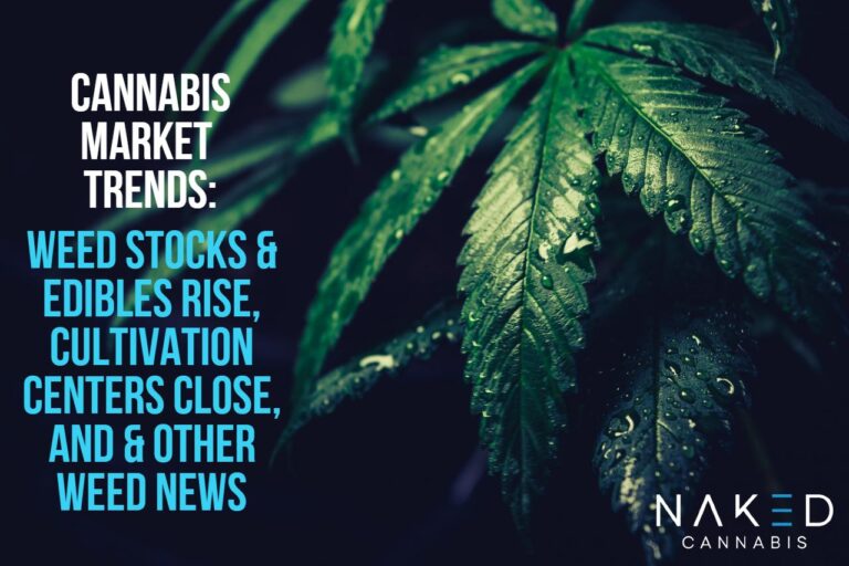 Cannabis Market Trends: Edibles, Stocks, Cultivation, & More