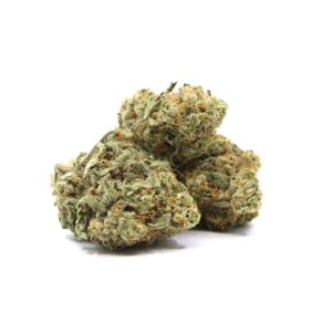 9 Pound Hammer – ($$$)