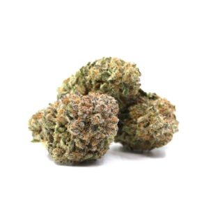 Master Bubba – ($$$)