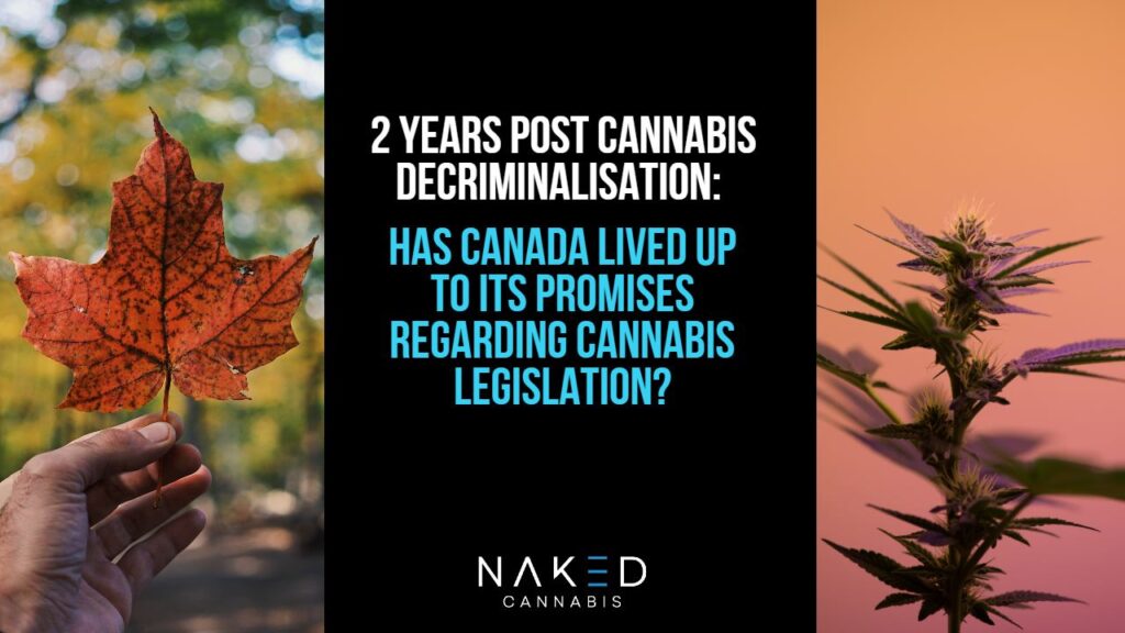 Cannabis Legislation: Did Canada Live Up to Its Promises?