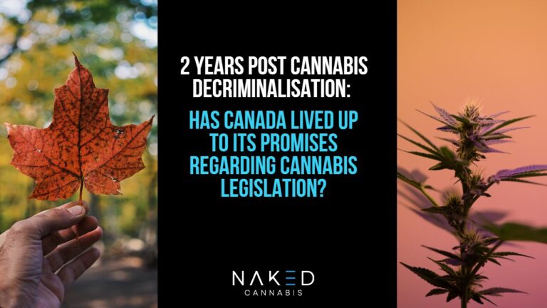 Cannabis Legislation: Did Canada Live Up to Its Promises?