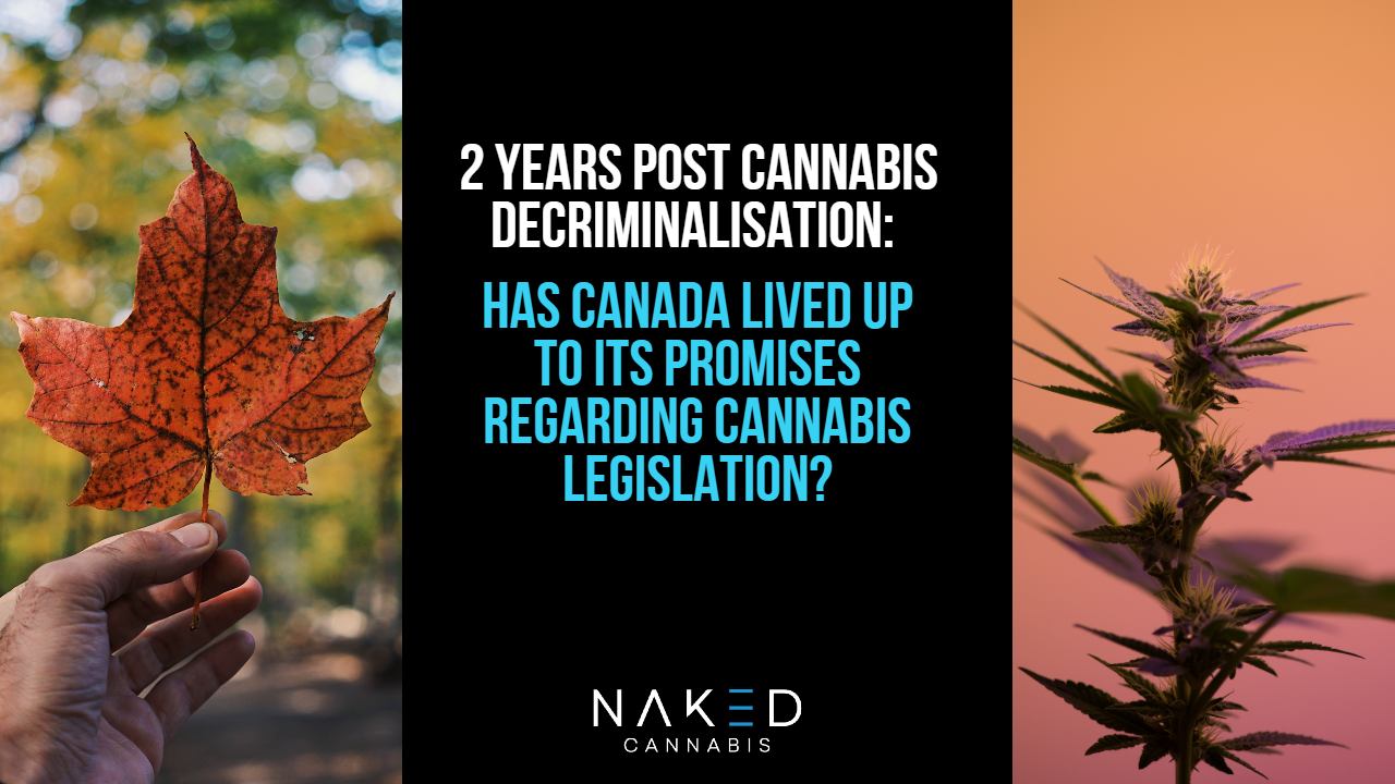 Cannabis Legislation: Did Canada Live Up to Its Promises?