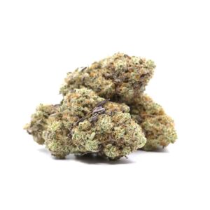 Slurricane – ($$$$)