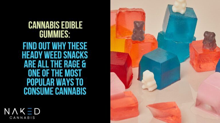 Cannabis Edibles: Why Everybody Loves These Heady Snacks