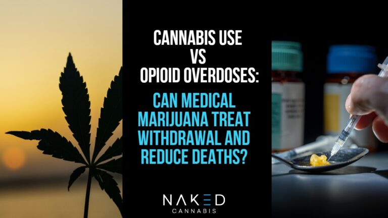 Can‌ ‌Cannabis‌ ‌Reduce‌ ‌Opioid‌ ‌Overdoses‌ ‌and‌ ‌Treat‌ ‌Withdrawals?