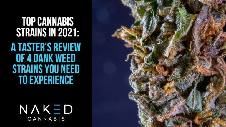 4 Dank Weed Strains To Try in 2021: A Taster’s Choice Review